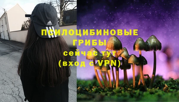 кокаин перу Заводоуковск
